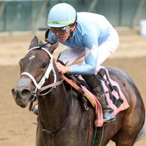 Gervais Racing, LLC
